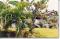 Jardin Gite Vanon
