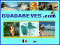 Vous allez en rêver !