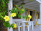 Jolis bungalows créoles