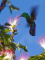 EVASION ET LOISIRS TOURS