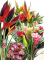Livraison de fleurs tropicales