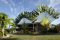 iguana surf camp