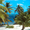 mam vacances 971